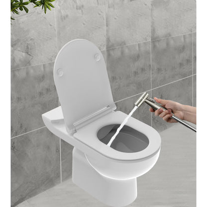 Silver Stainless Steel Handheld Bidet Sprayer Set for Personal Hygiene